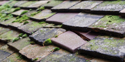 Stonely roof repair costs